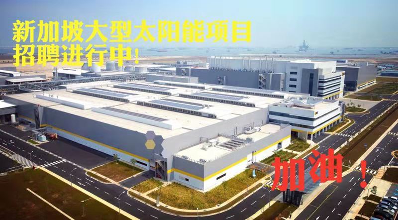 新加坡大型太陽能公司招募男女操作工